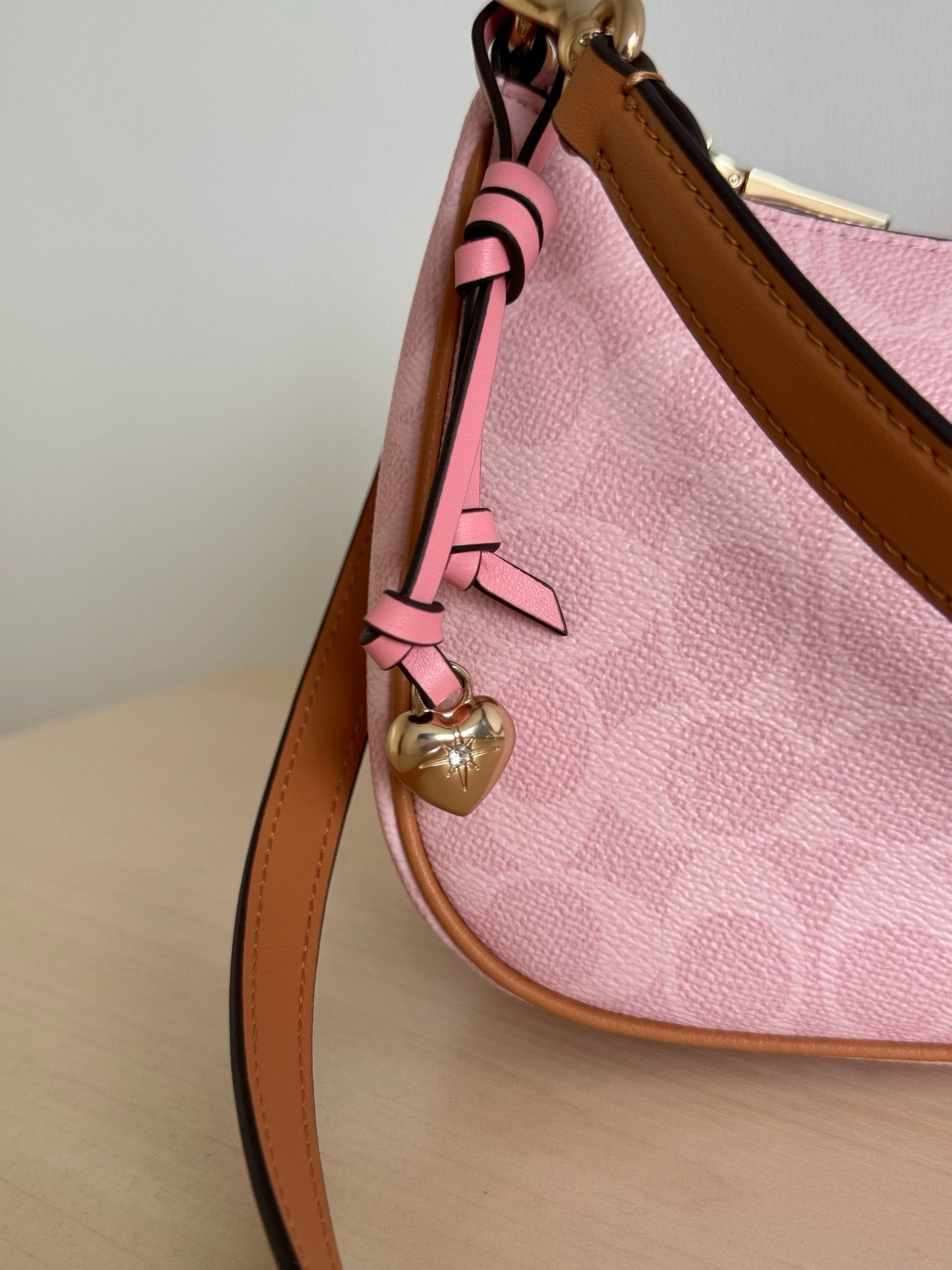 Coach Teri Shoulder Bag In Signature Canvas With Charms
