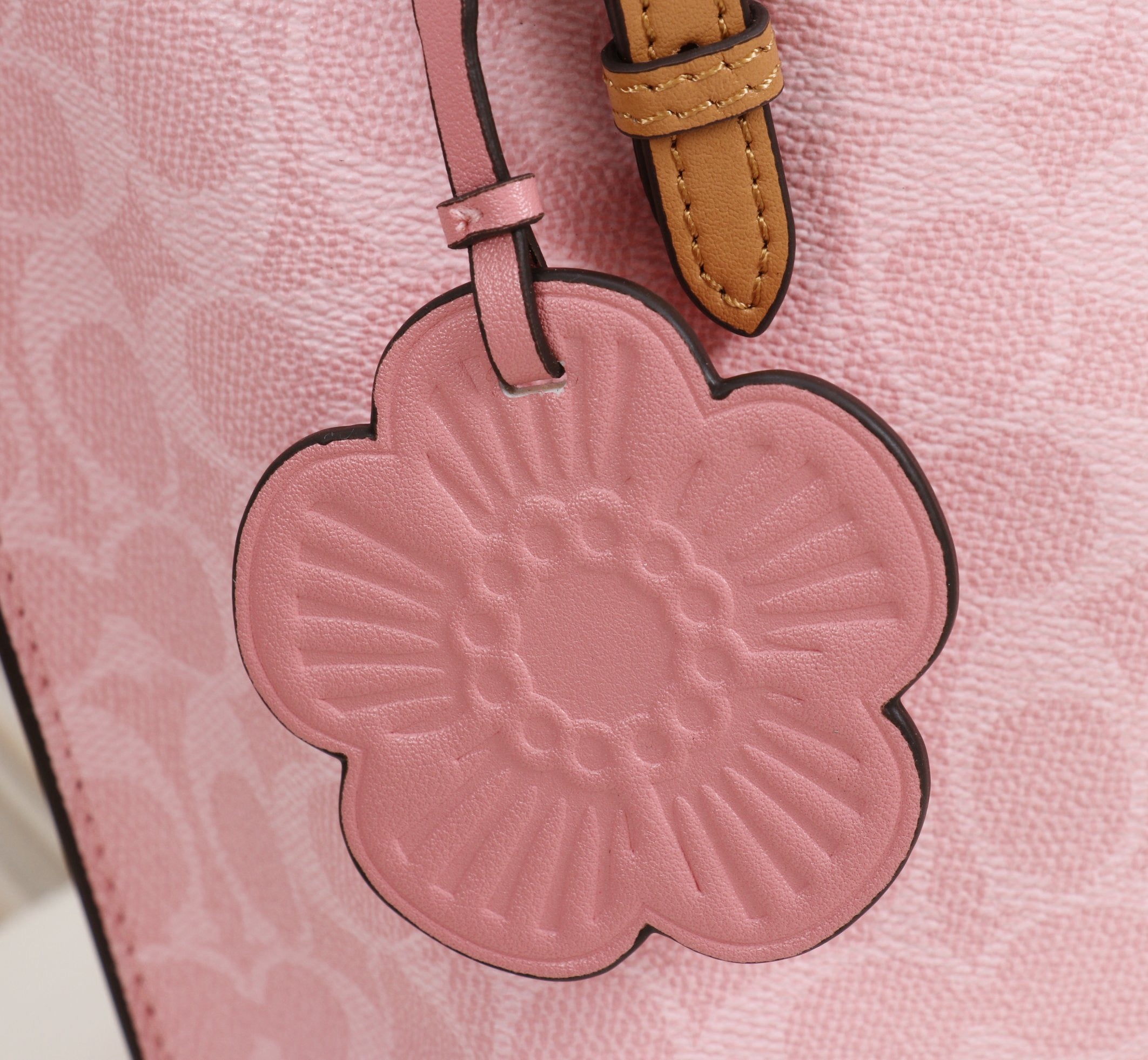 Coach Mollie Tote Bag 25 In Signature Canvas With Charms
