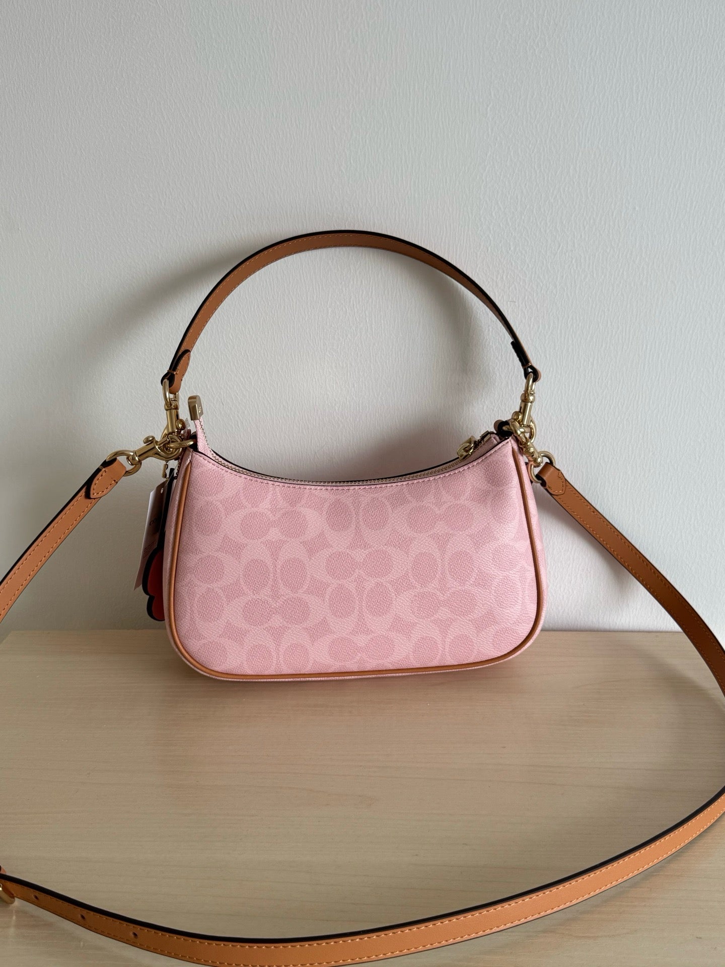Coach Teri Shoulder Bag In Signature Canvas With Charms