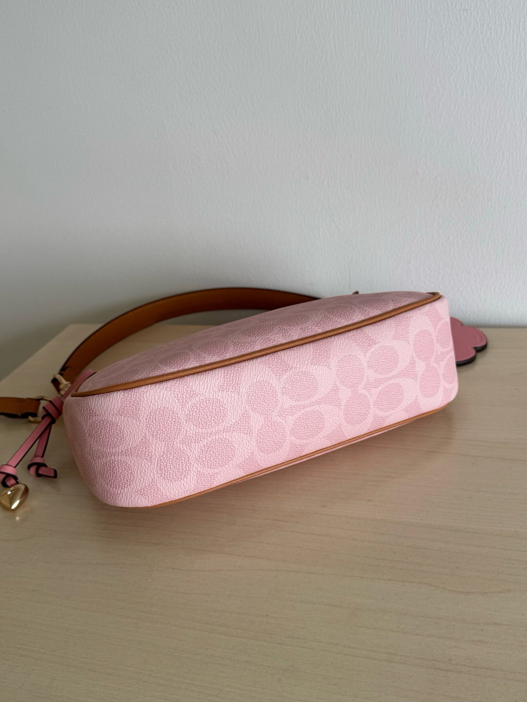 Coach Teri Shoulder Bag In Signature Canvas With Charms