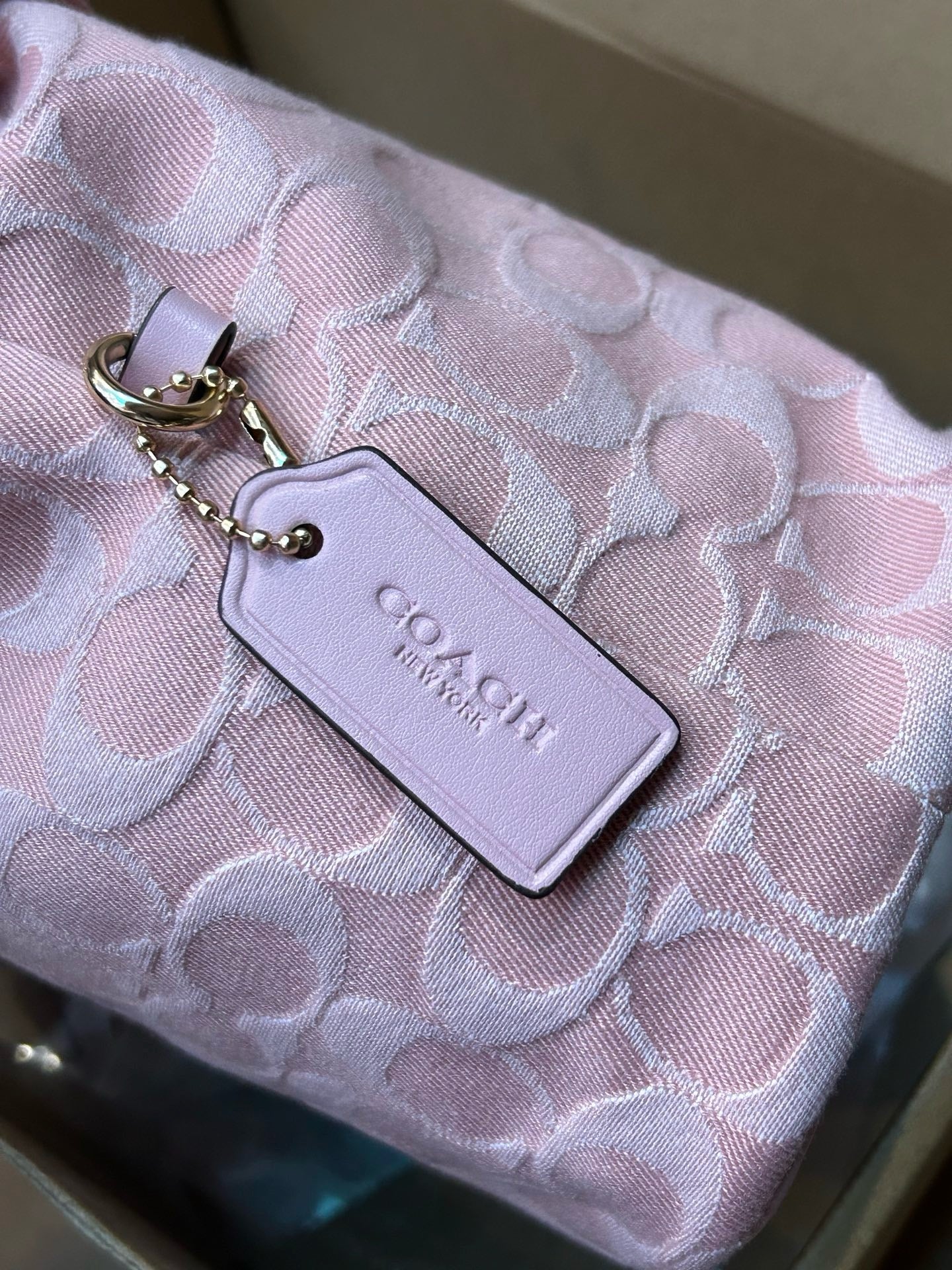 COACH Faye Mini Drawstring Bag In Signature Jacquard Floral Embroidery CDZ94