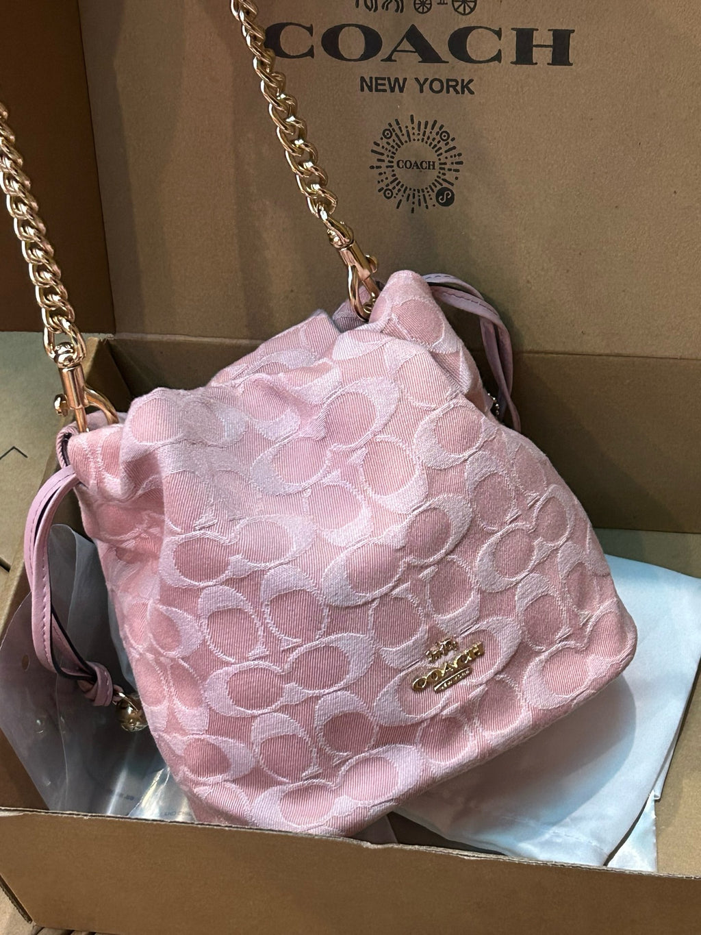 COACH Faye Mini Drawstring Bag In Signature Jacquard Floral Embroidery CDZ94