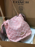 COACH Faye Mini Drawstring Bag In Signature Jacquard Floral Embroidery CDZ94
