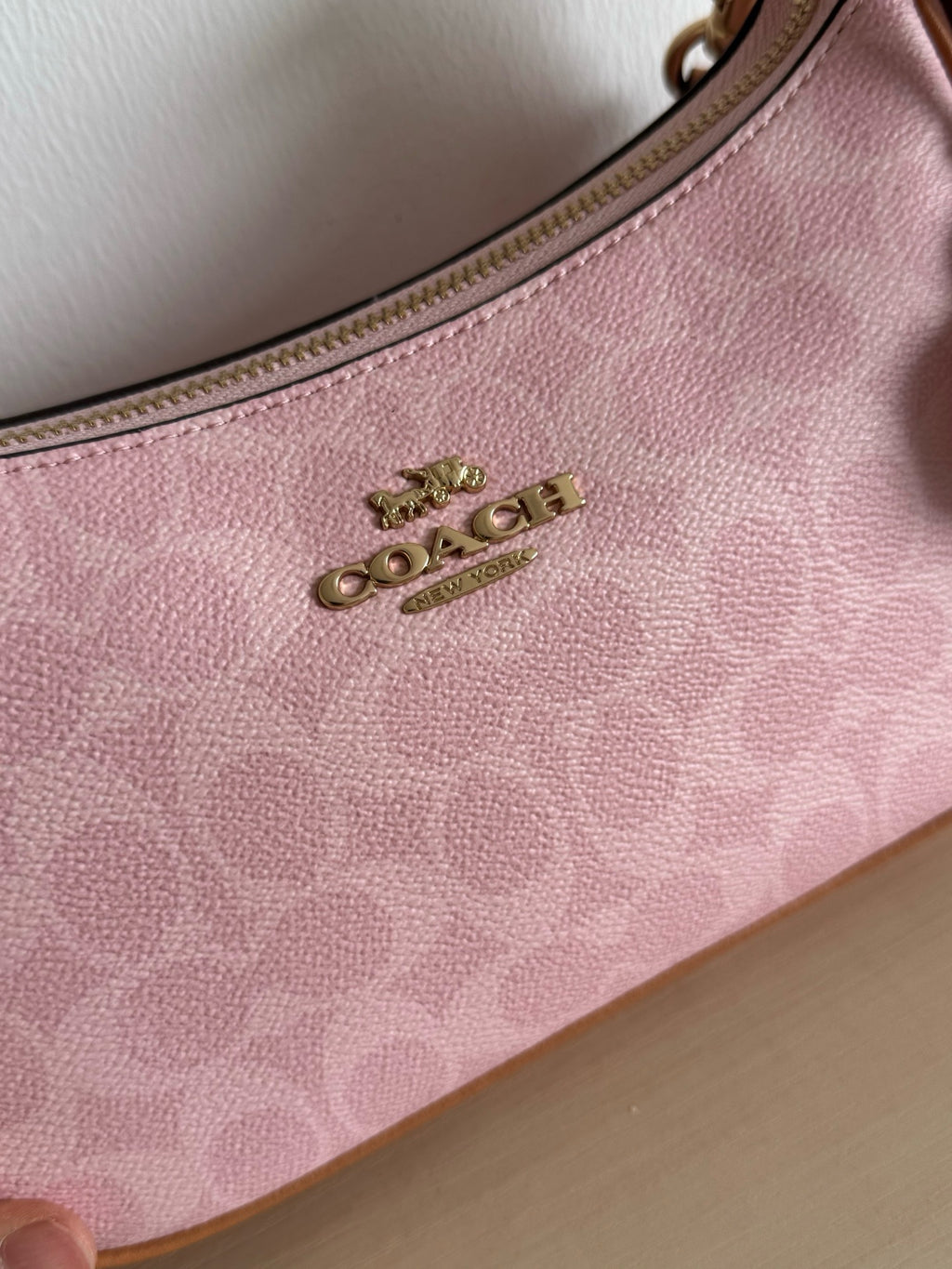 Coach Teri Shoulder Bag In Signature Canvas With Charms